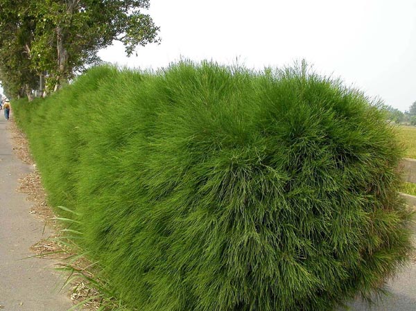 d09