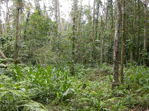 a30