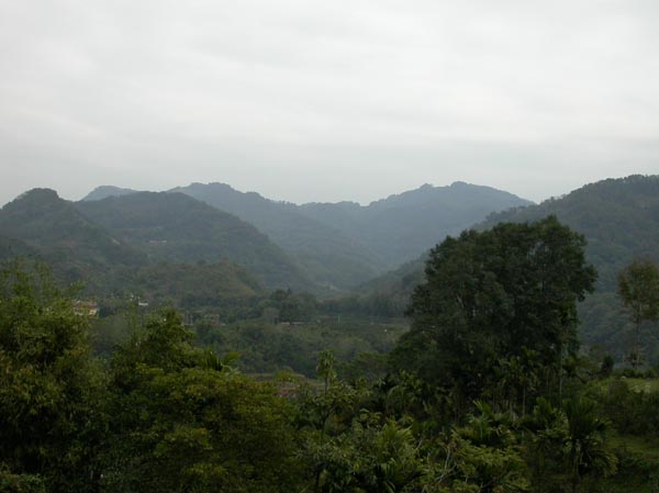 b03